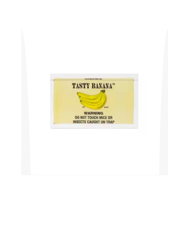 Catchmaster  Tasty Banana Glue Boards